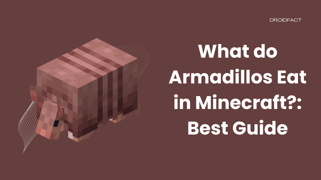 What do Armadillos Eat in Minecraft?: Best Guide