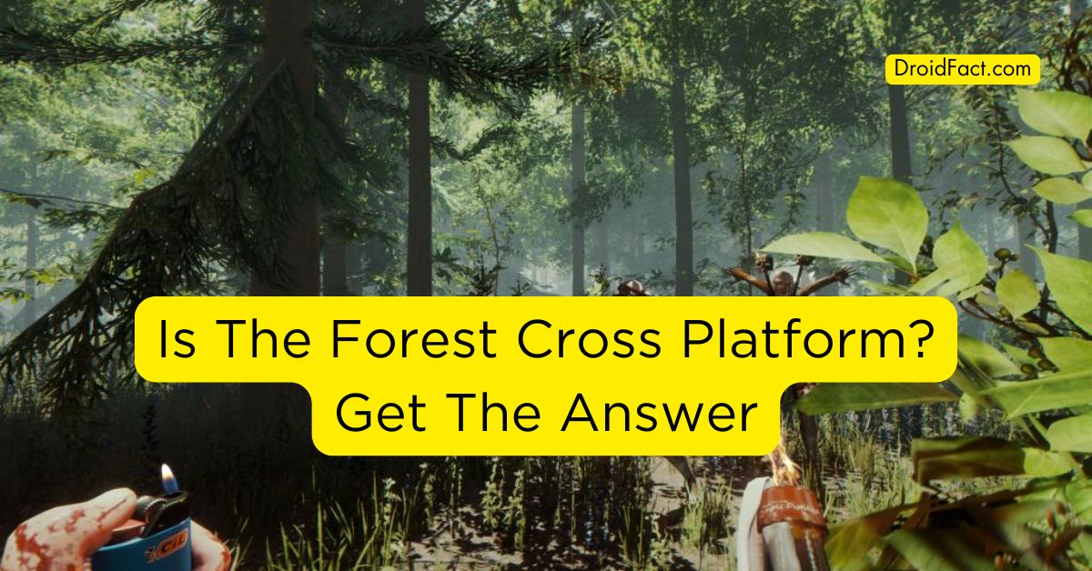 Is The Forest Cross Platform?: Get The Answer